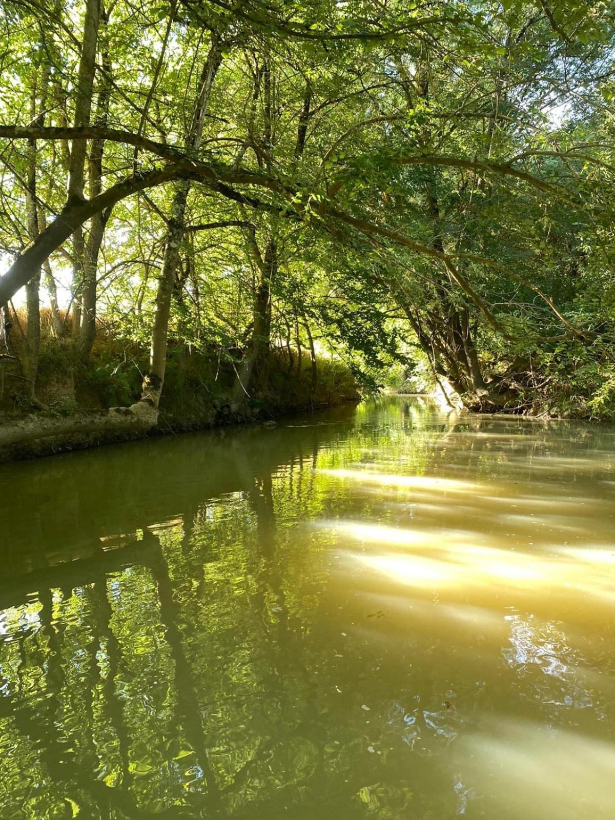 Gite Le Moulin Samsara Homps  Exteriör bild