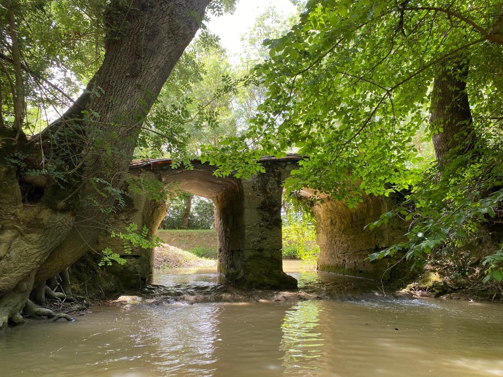 Gite Le Moulin Samsara Homps  Exteriör bild